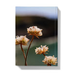 Flores Hardback Journal