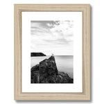 Gower Seagull Framed & Mounted Print