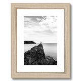 Gower Seagull Framed & Mounted Print