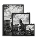 Whitesands Pony Framed Canvas