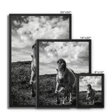 Whitesands Pony Framed Canvas