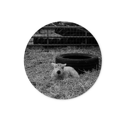 Little Lamb Glass Chopping Board