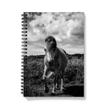 Whitesands Pony Notebook
