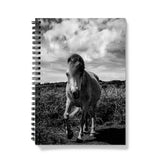 Whitesands Pony Notebook