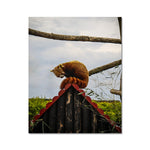 Red Panda Fine Art Print