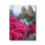 Clyne Gardens Canvas
