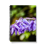Bluebells Notebook