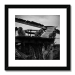 Lookout Framed & Mounted Print