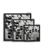 Carnival Framed Canvas