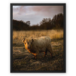 Highland Cow Framed Canvas