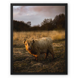 Highland Cow Framed Canvas