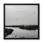 High flyers Framed Canvas