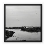 High flyers Framed Canvas