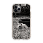 Little Lamb Eco Phone Case