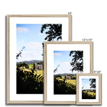 Newton House Framed & Mounted Print