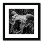 Horns Framed & Mounted Print
