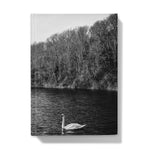 Swan Lake Hardback Journal