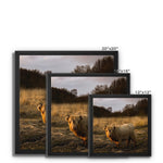 Highland Cow Framed Canvas