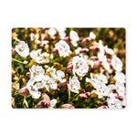 Sea Campion Placemat