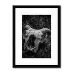 Horns Framed & Mounted Print