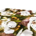 Sea Campion Canvas