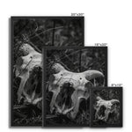 Horns Framed Canvas