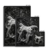 Horns Framed Canvas