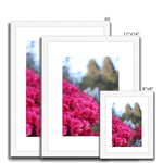 Clyne Gardens Framed & Mounted Print