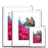 Clyne Gardens Framed & Mounted Print