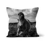 Whitesands Pony Cushion
