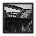 Lookout Framed Canvas