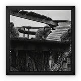 Lookout Framed Canvas