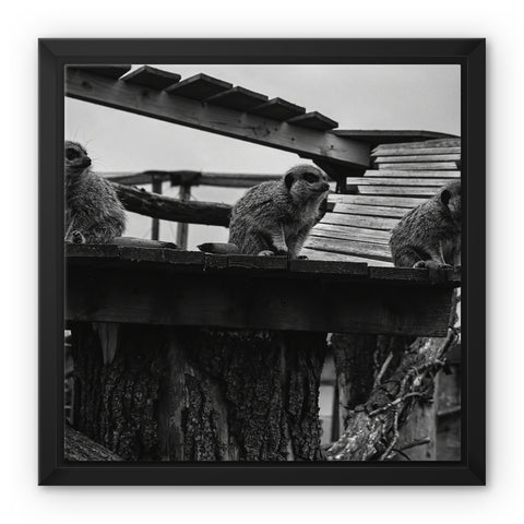 Lookout Framed Canvas