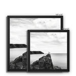 Gower Seagull Framed Canvas