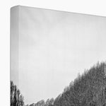 Swan Lake Canvas