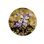 Wild Violets Glass Chopping Board
