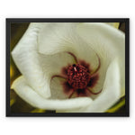 Elle Maree Framed Canvas