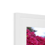 Clyne Gardens Framed & Mounted Print