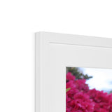 Clyne Gardens Framed & Mounted Print