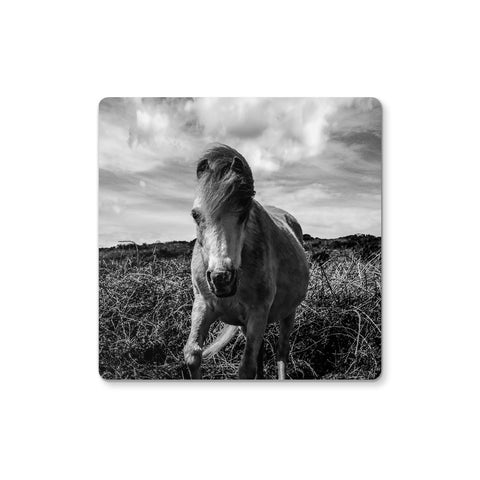 Whitesands Pony Coaster