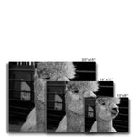 Alpaca Canvas