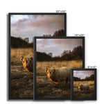 Highland Cow Framed Canvas