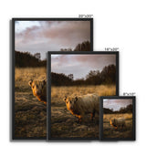 Highland Cow Framed Canvas