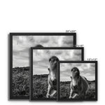 Whitesands Pony Framed Canvas