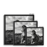 Whitesands Pony Framed Canvas