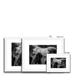 Horns Framed & Mounted Print