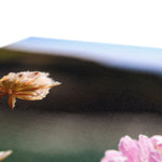 Flores Canvas