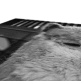 Alpaca Canvas