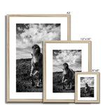 Whitesands Pony Framed & Mounted Print