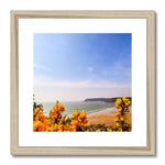 Caswell In Bloom Framed & Mounted Print